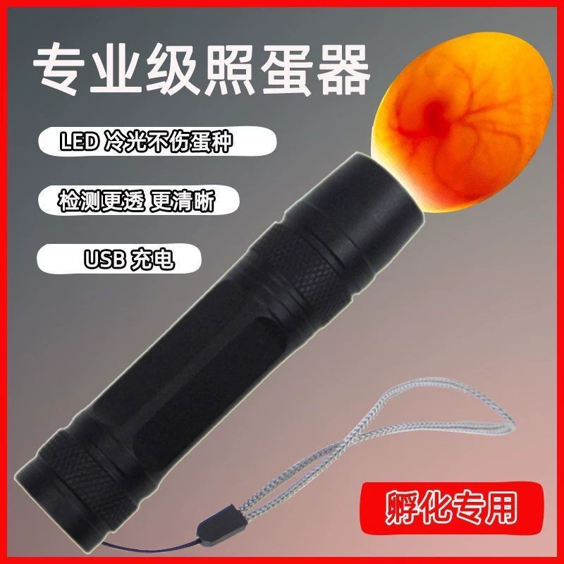 Яйцеклетка инкубатор подзаряжаемый светодиодный фонарик небольшой тестер для яиц рутин скорость оплодотворения яиц лампа оптом