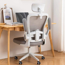 人体工学家用办公椅透气网电脑椅久坐不累升降会议椅学生学习椅子