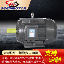 �ӱ���������������YE3-2��3-355kw 380V ��Ч�����첽�綯��