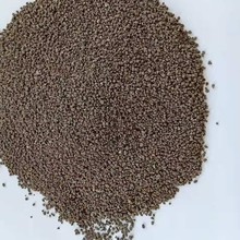 �w������� �r�I���ܷ����� �������Q���N�����