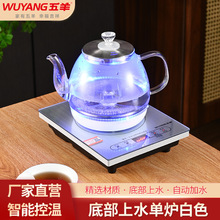 五羊全自动上水电热水壶底部上水单炉银色玻璃烧水壶电茶炉煮茶器