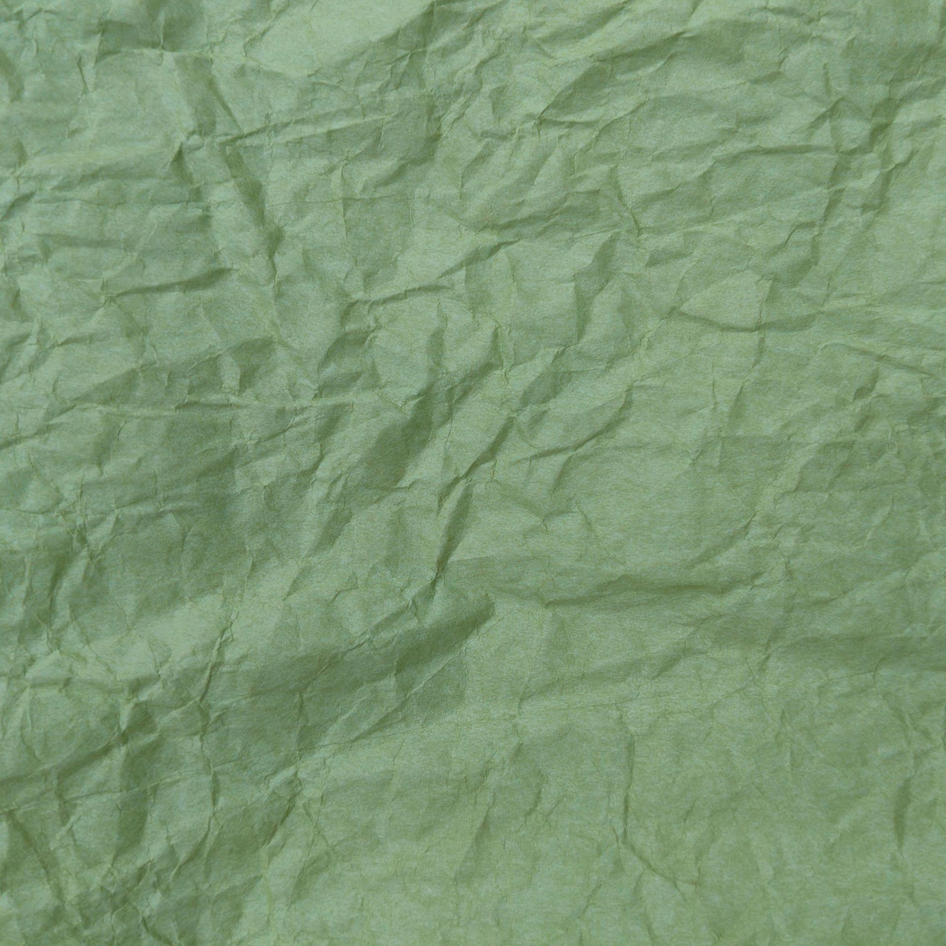 Kacang hijau (75cm × 1,45 m)1 lembar