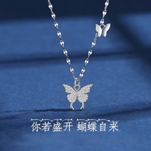 s925���y������Ůins��С���OӋ���s����ɫ�p�ݸоW�t�y�