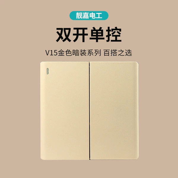 V15 two -opening single control switch