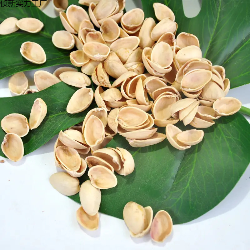 原色开心果壳无漂白幼儿园手工原材料坚果壳工艺品装饰画制作干花