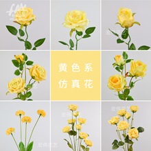 (�Sɫϵ)���滨��c��չ��Y�ò廨�ҾӔ[���bٻ����ՔzӰ����