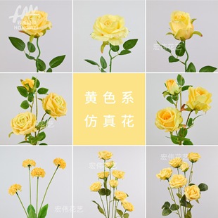 (�Sɫϵ)���滨��c��չ��Y�ò廨�ҾӔ[���bٻ����ՔzӰ����