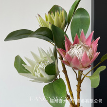 南非帝王花 欧式仿真花 样板间 美式家居