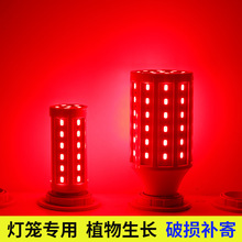 �������LED���׵Ƶ������ݽ���ϲ��鷿��Χ������ֲ��������