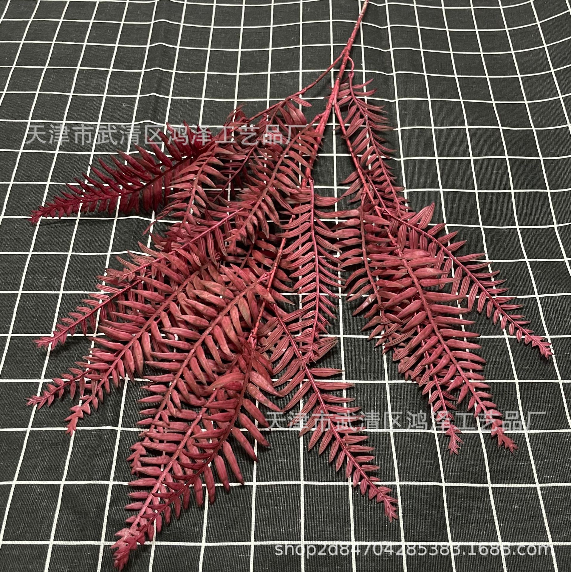 지네 페르시아 잎