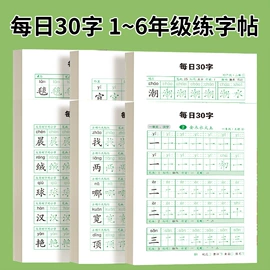 其他益智玩具;玩具挂图;早教闪卡