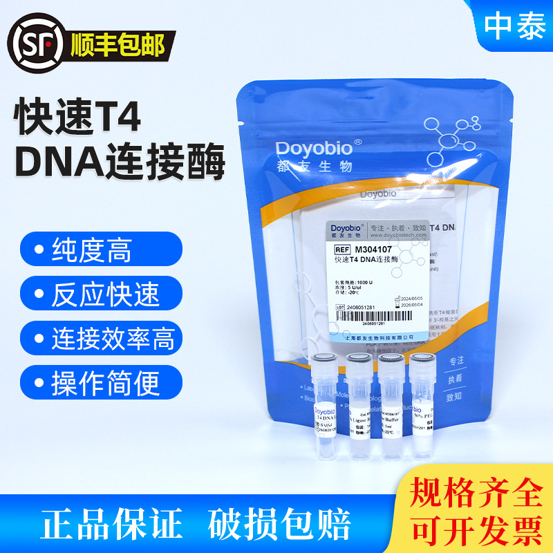 快速T4 DNA连接酶 1000 U，T4 DNA Ligase（Fast）