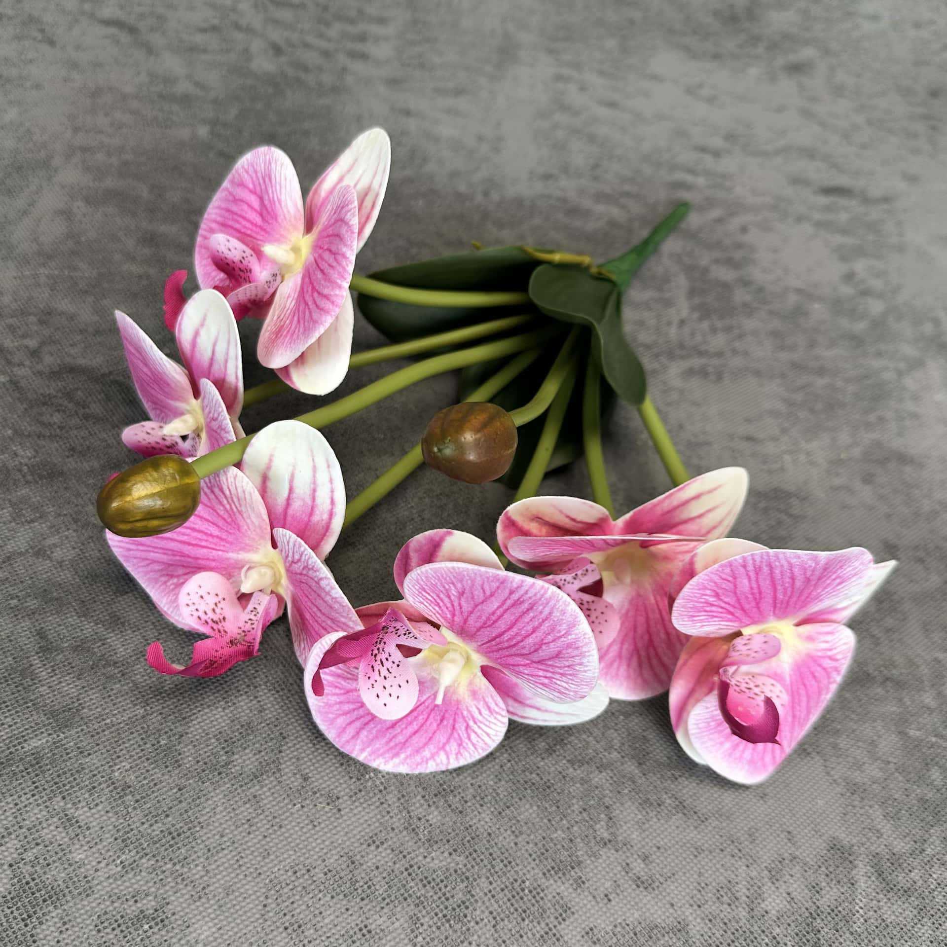 Simulación de impresión 3D orquídea mariposa en maceta decoración de la sala de estar accesorios adornos de flores falsas transfronterizas al por mayor
