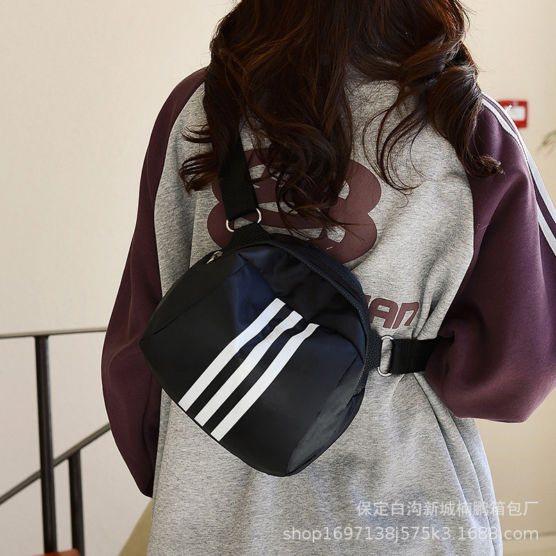 2024 New single-shoulder crossbody bag for girls, large capacity for mobile phone makeup, Korean version, stylish portable bag for commuting, niche undefined