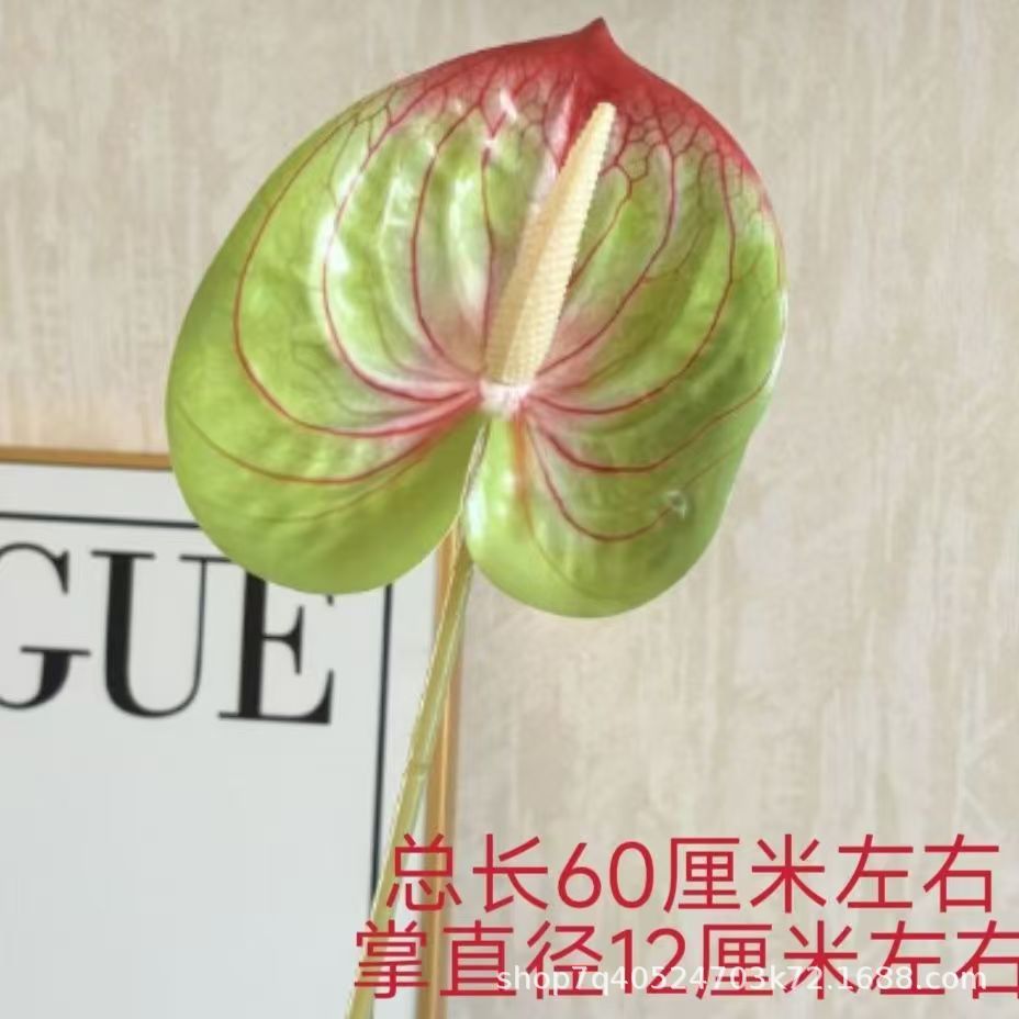 색상 번호 5