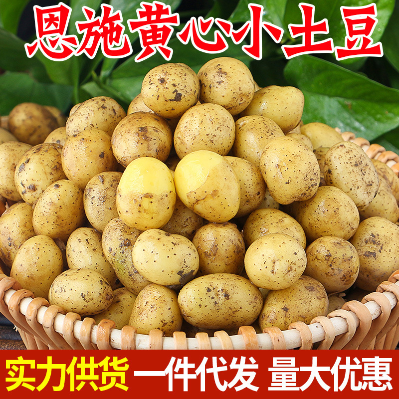 Enshi Yellow-Hearted Small Potatoes, Farm-Grown High-Mountain Selenium-Rich Sweet Potatoes, Glutinous Potatoes, Freshly Dug Potatoes and Vegetables
