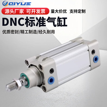 DNC标准气缸SE32/40/50/63/80/100-50*75X100/125/175/200PPV-A-S