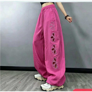 2026�ļ��¿�̽��U�Տ���ѝŮ�ع��ٸ�ק�������L�赸�\��ѝ