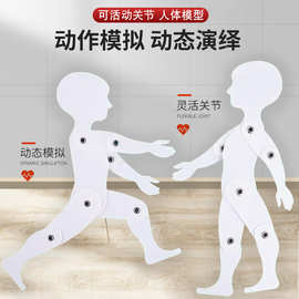 可活动关节人偶绘画模型人体工程学人体模型辅助展示各关节动作