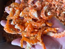 ȫ�����r�� �r�� ���� һ��40�� �ش��r�� �r��