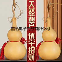 2025����Ȼ���J�[����̖Ұ���J�͏d��ؔ�Ҿ��Lˮ���J����͵���ľ