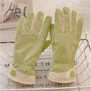 ���׶���Ů��ů���L�ɐیW��������T��늄�܇���|���ӽq���޶���