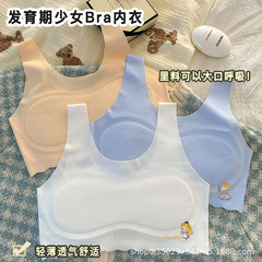発育期の女の子の下着 9-16歳の女の子のチューブトップ アイスシルクシームレスベスト 中学生通気性ブラジャー 薄手