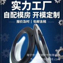 定制耐磨损高温腐蚀油气缸 釜轴承水泵配 橡胶密封圈 垫塞件热卖