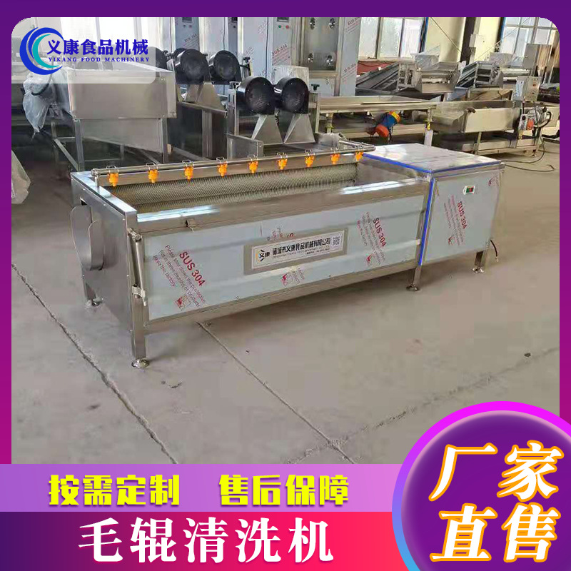 辣菜疙瘩清洗机  塑料小零件清洗机设备 桔梗去皮毛辊清洗机