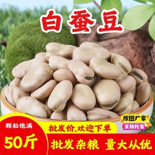 ��؛���Q��50�����l�r�����r�ɺ�������s�Z���Q���_�h����Ƥ�Q��