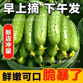 苹果;梨;瓜果类