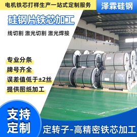 其他硅钢;无取向硅钢;电动机配件