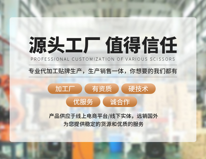 O1CN018VvX7B29JaCkgiSP5_!!2215774658047-0-cib.jpg?__r__=1749631791873