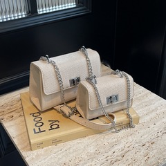 夏天小包包女2024新款潮可愛百搭迷你鏈條單肩斜挎包學生裝手機包