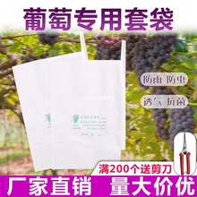 露天葡萄袋专用套袋葡萄防雨袋子育果袋枇杷莲雾水果防虫袋子裕农