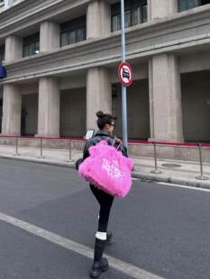 Autumn fashionable purse, fuchsia handheld one-shoulder bag, with embroidery