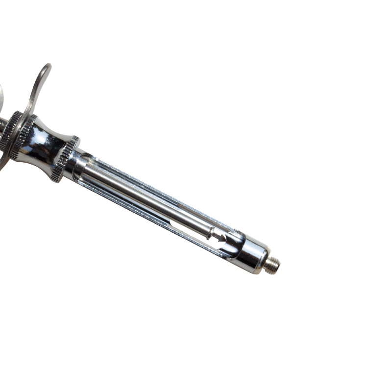 Comercio electrónico transfronterizo Jeringa de acero inoxidable Jeringa azul con diadema recta 2 cabezas Herramientas dentales orales