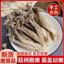 �oѬ������؛¹�׸�؛���r�Ҝ�������������ʳ�� ¹����������l