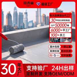 跨境屋顶防水涂料楼顶窗台平房水性防水胶裂缝漏水防水漆定制批发