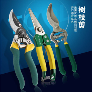 SD/���_���� ��֦�� /��֦��/�@ˇ���� �ɹ����߼� ��֦����֦��