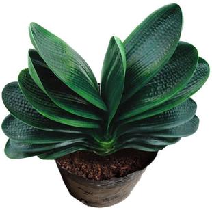 ��Ʒ�����m���������҃����k���ҾGֲ���ܸߙn�����_���ļ�����