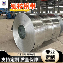 ��\��� CZ����p������� Q195�ߏ���\�� ��|�������\�