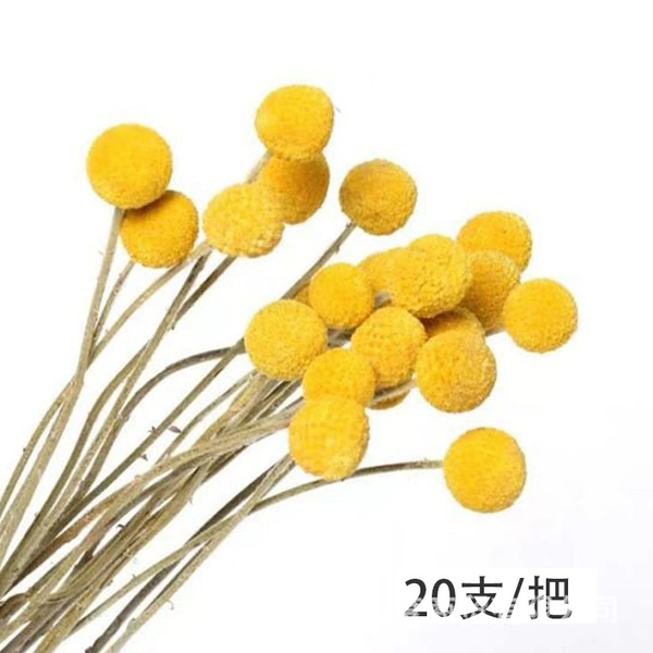 20 golden balls 20