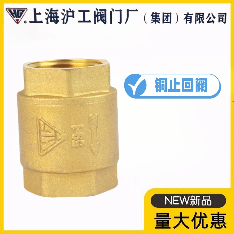 Завод клапанов HG Shanghai Huigong H12W/X-10/16T, латунный резьбовой вертикальный обратный клапан с пружиной, односторонний обратный клапан