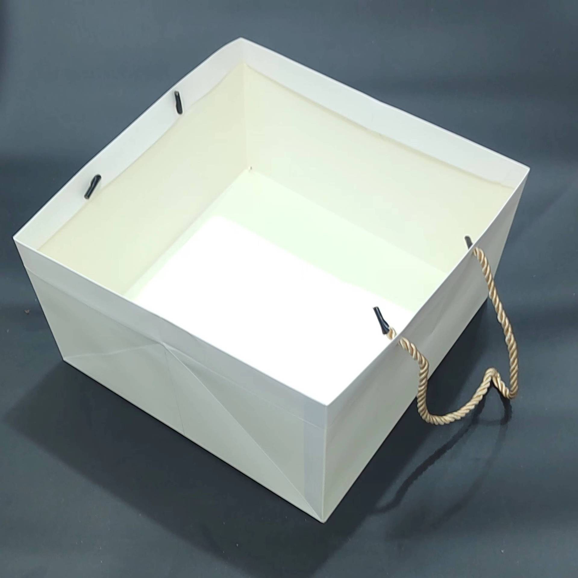 O1CN01UgTiIz1pbdBjPX3n5_!!2550