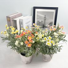 ֲСԕ[辰滨Ҿ҃bϻĔzٻ