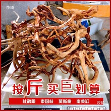 ��Ȼ���N����������ľ��ľ�~��ˮ�ݸט�֦����쾰��ľһľ�ɾ�