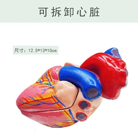 算盘;生物教学器材;数理教学器材