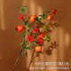 Large branch with five fruits and flowers, pomegranate branch, orange-red