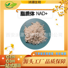 脂质体β烟酰胺腺嘌呤二核苷酸NAD50%70%高稳定纳米粒径可拿样